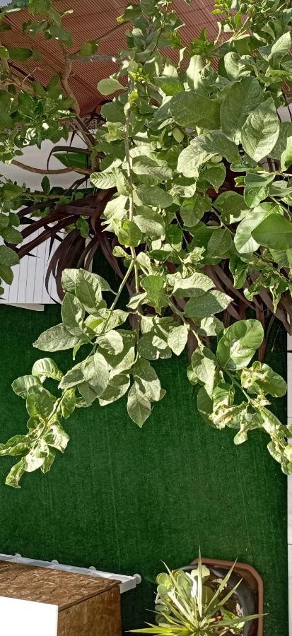 Το Διαμερισμα Τησ Μαιρησ Or Mary'S Apartment Paradeísion Exterior foto